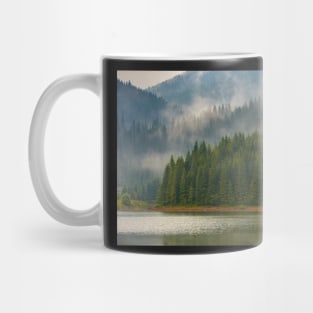 Lake Vidra in Romania Mug